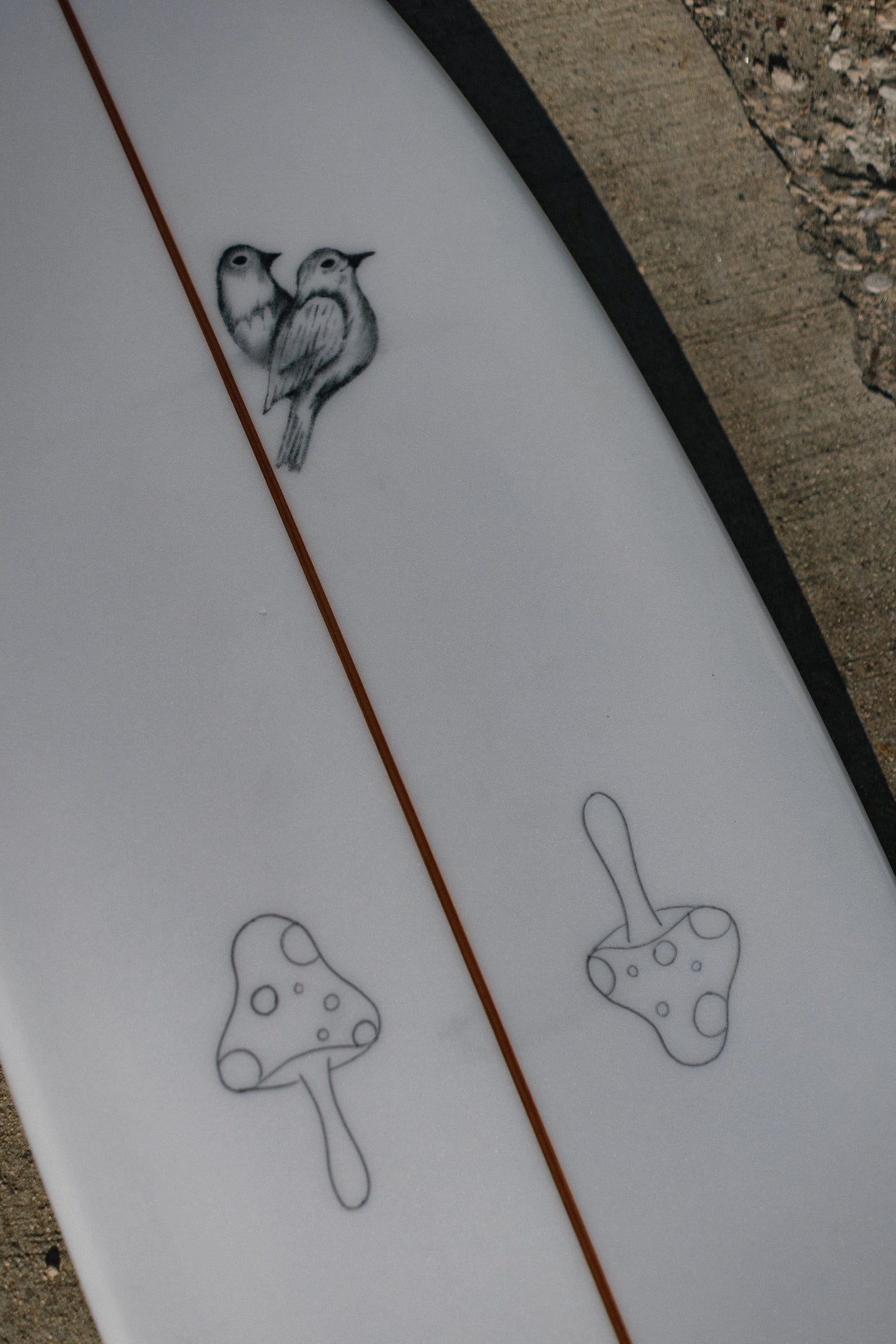 6'4 LITTLE BIRDIE QUAD FISH