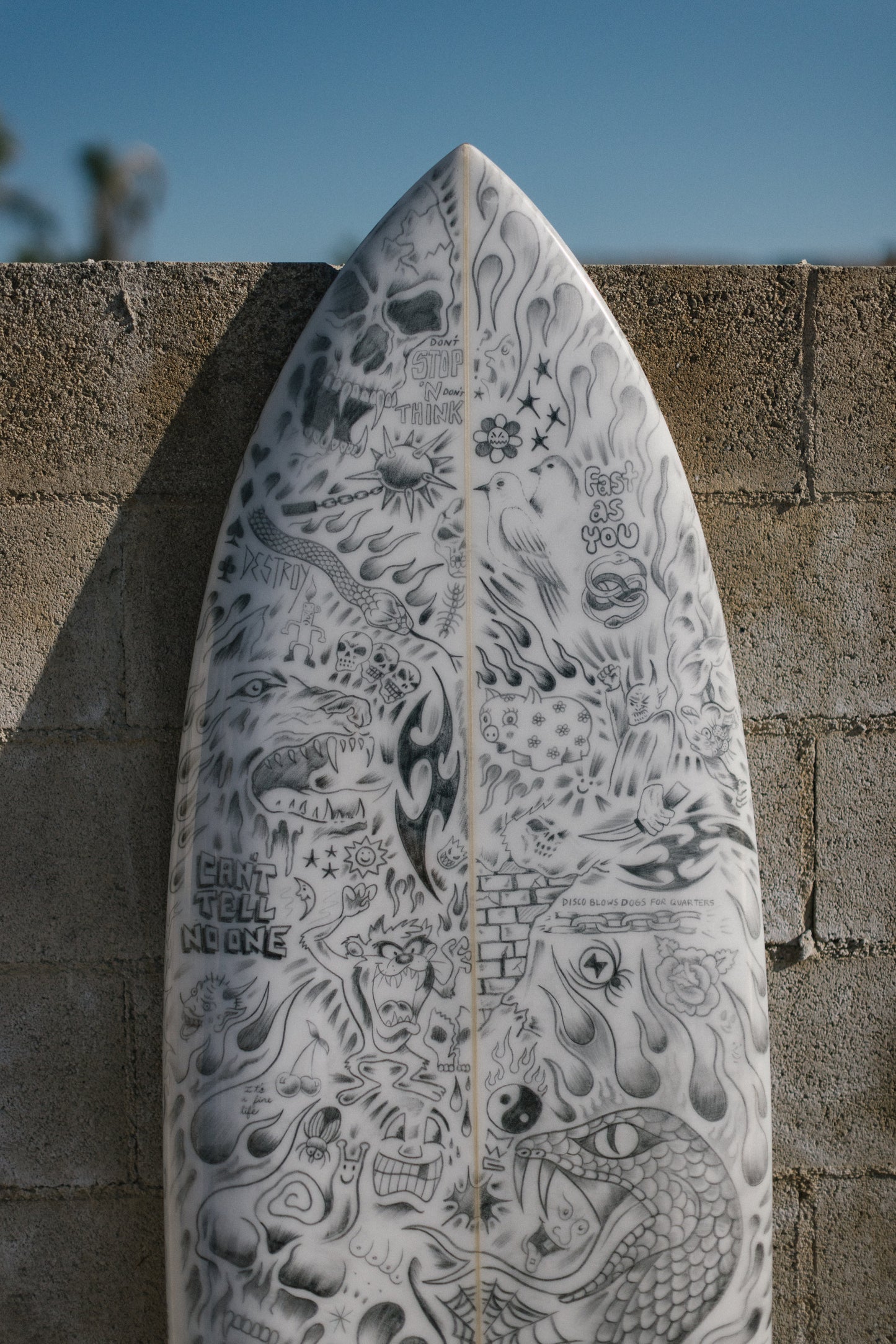 6' MADNESS TWIN FISH