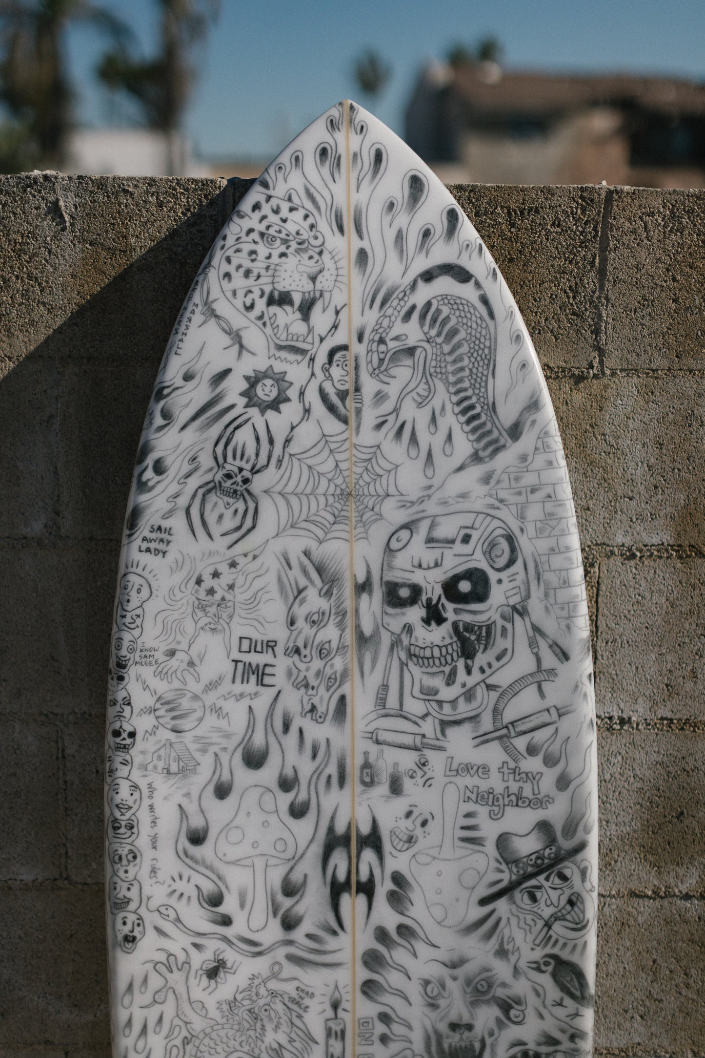 6' MADNESS TWIN FISH