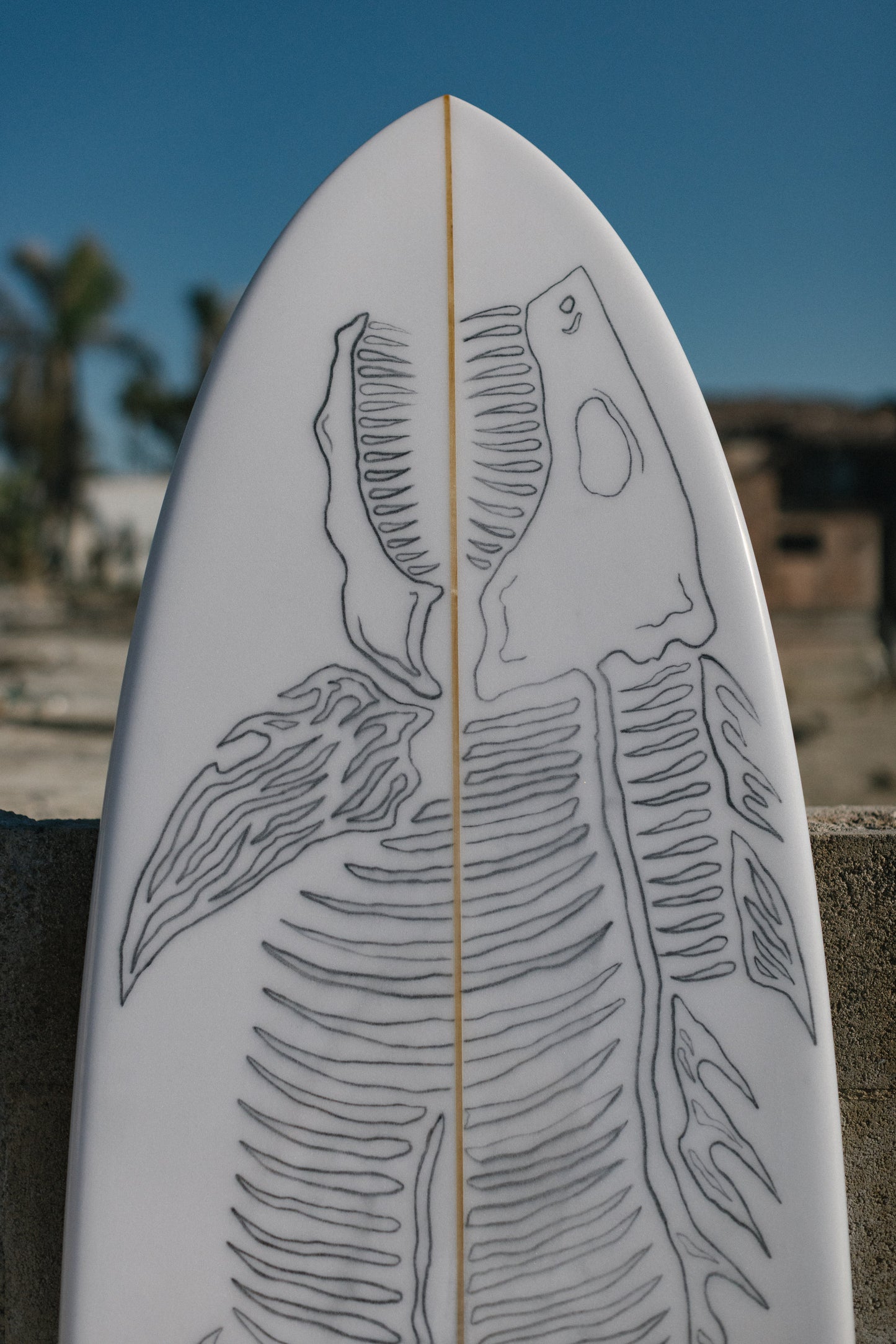 7'8 FISH N' BRICKS LONG QUAD