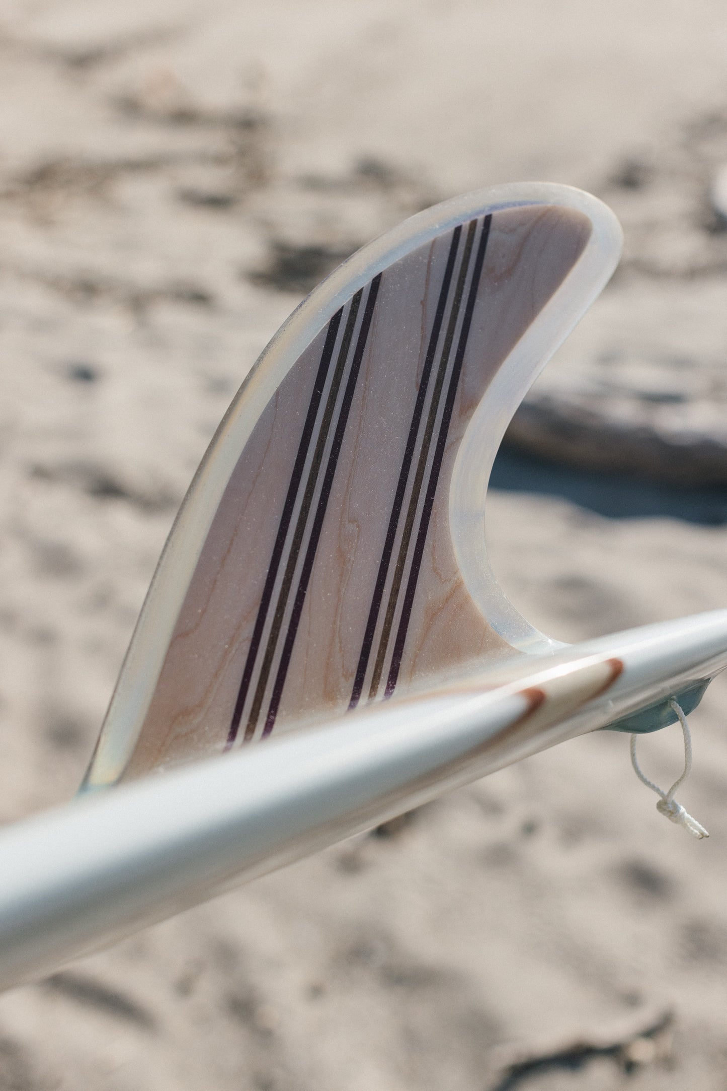 10' LANCE CARSON SQUARE TAIL