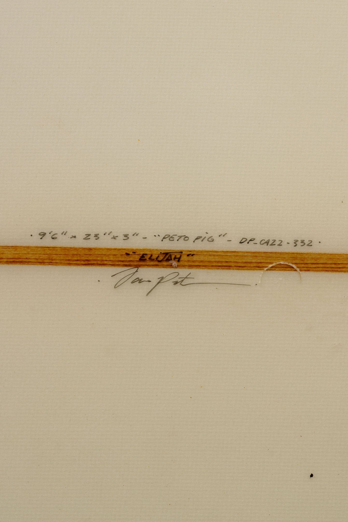 9'6 UNHINGED PETO PIG (USED)